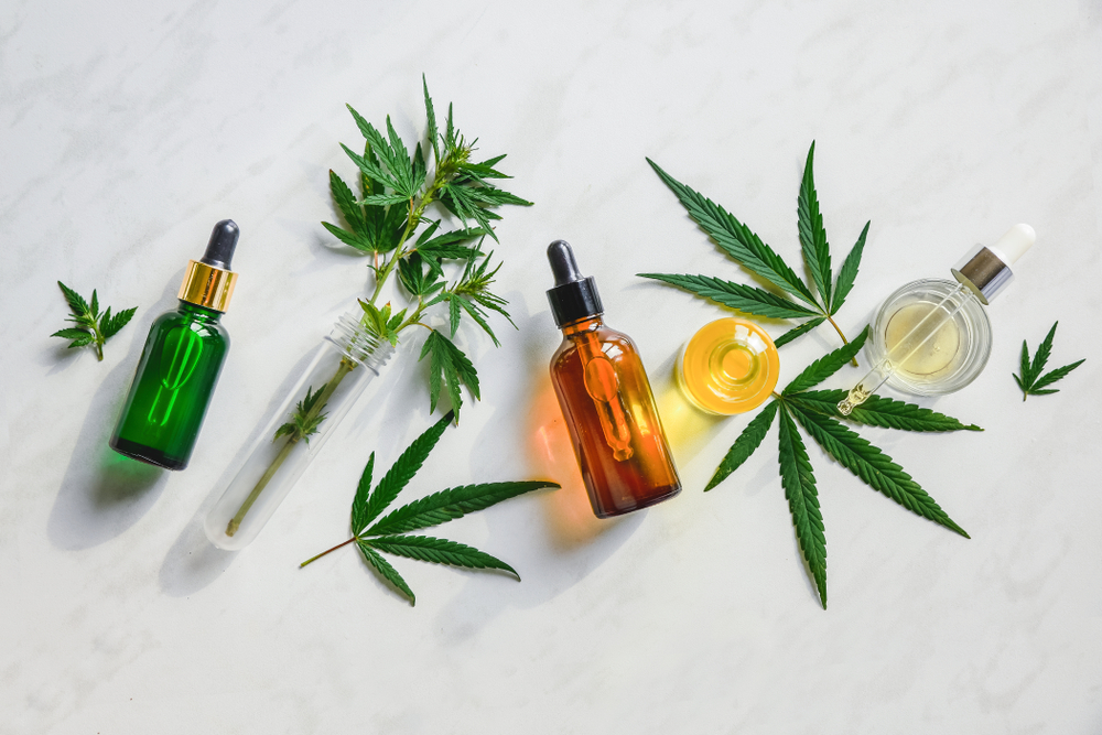 cannabis hemp plants and cbd oil